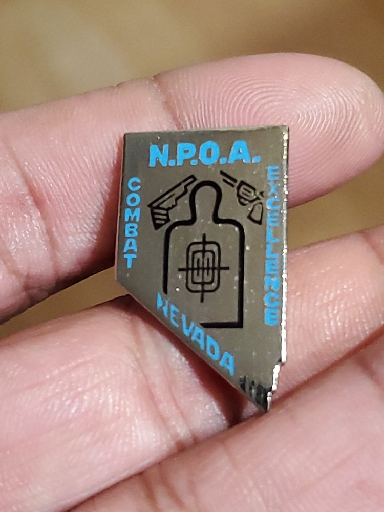 Nevada Combat Excellence Pin