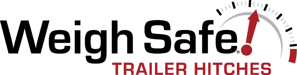 Weigh Safe WS03 Lock Plate Key Assembly (Dual Pins)