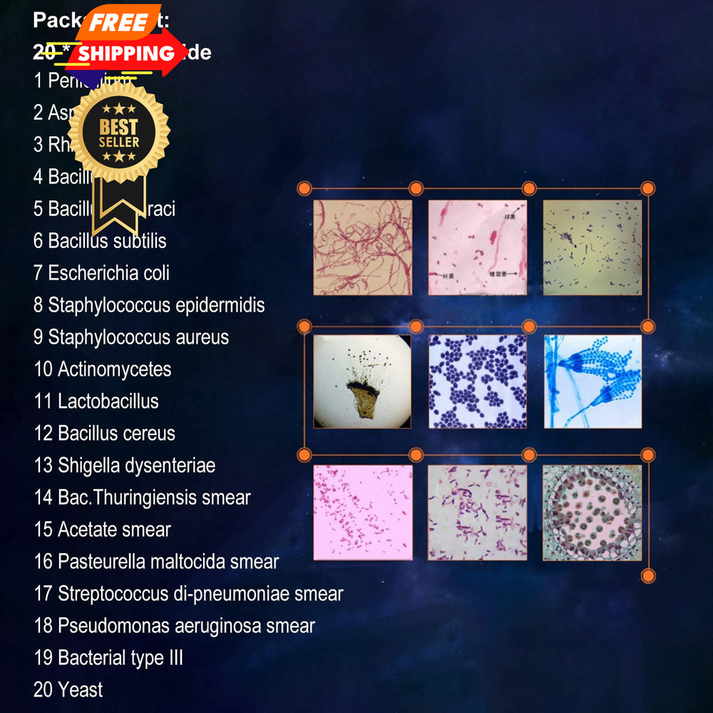 20pcs Microscope Slides Biology And Pathology Prepared Microbiological...