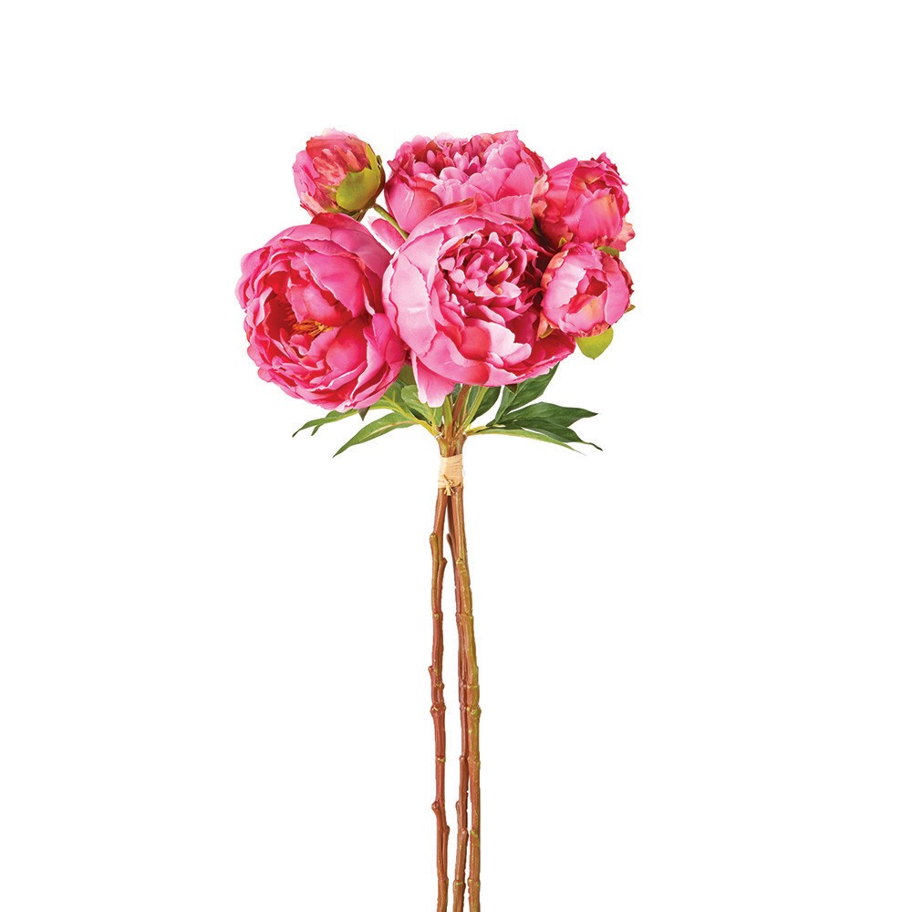 PEONIES 21", BUNDLE OF 3
