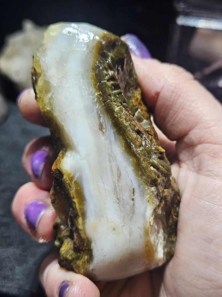 Petrified Wood Opalized Multicolored Polished Specimen (8.4oz)