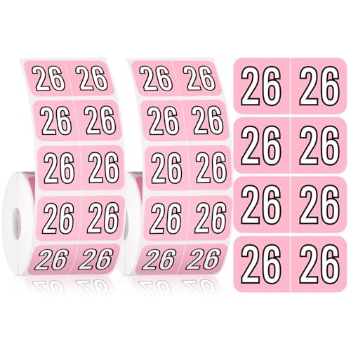 1000 Pieces 2026 Year Stickers File Folder Year Labels Rectangle Coded Pink