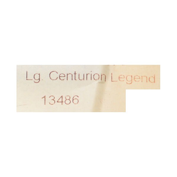 Ski Centurion Boat Raised Decal 2047-20976 | Silver Stickers (Pair)