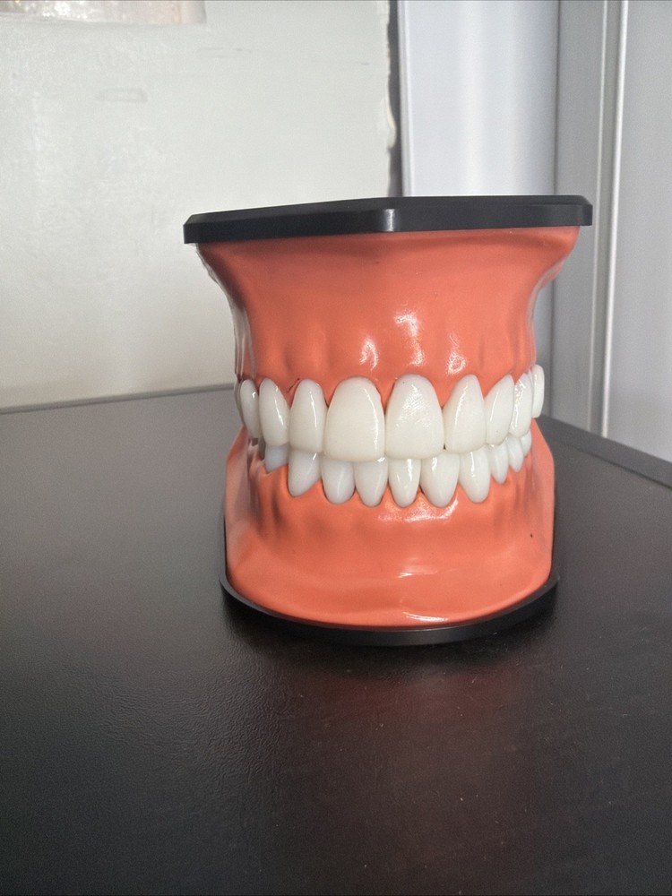 Columbia Dental Form Teeth Dentistry