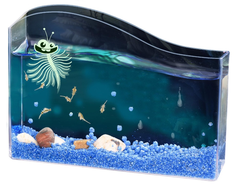 Fun Science Saltwater Creatures INT: Experimentierkasten