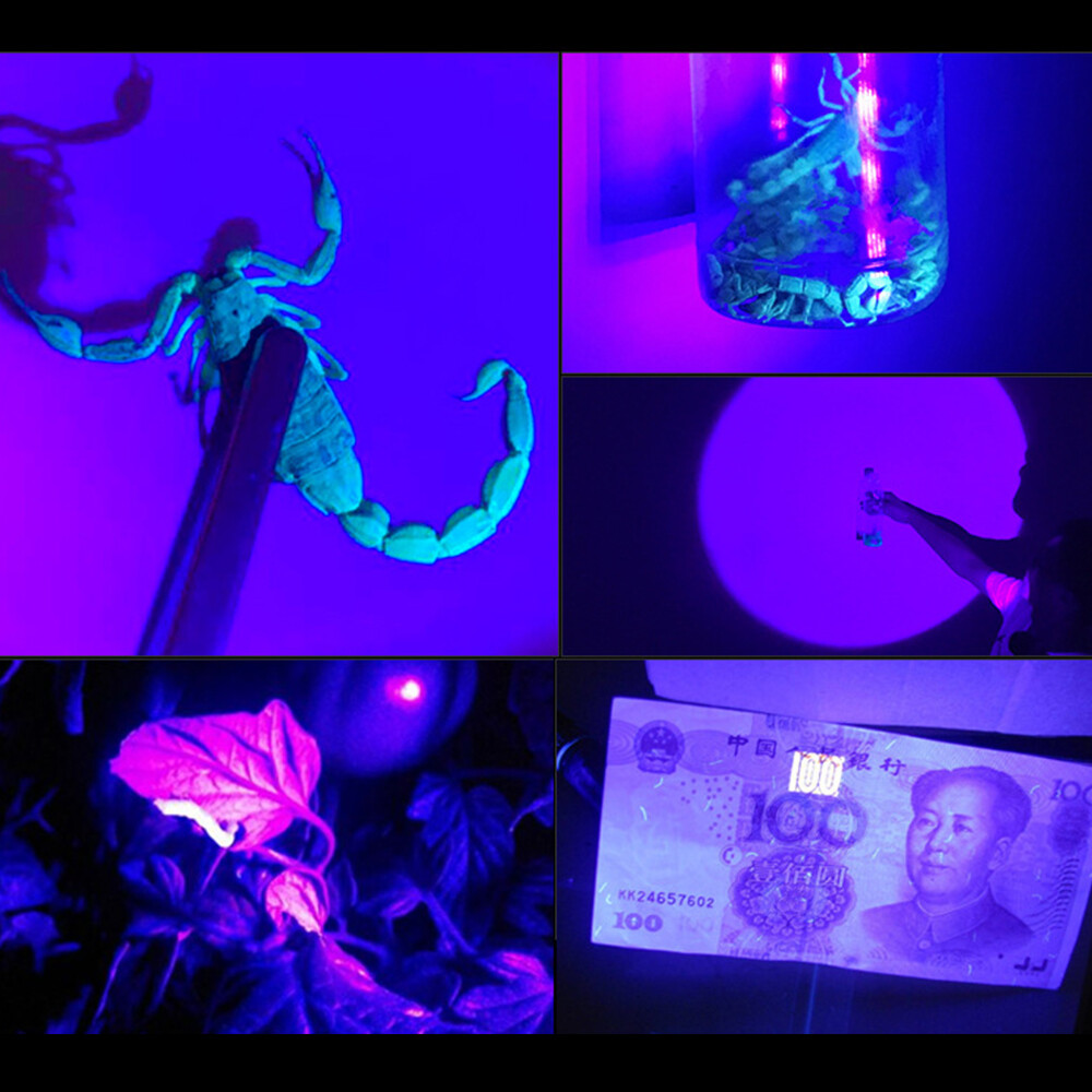 LED Dual Light Source UV LED Headlamp White Headlight Torch Purple Flashlight