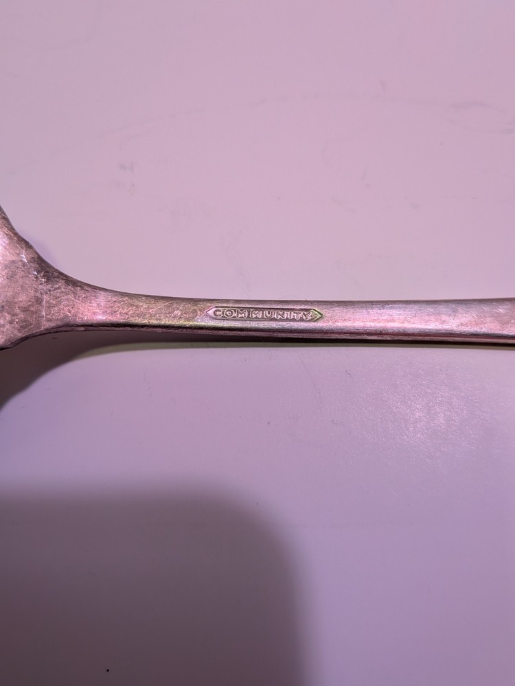 Oneida Community Lady Hamilton Serving Spoon And Fork