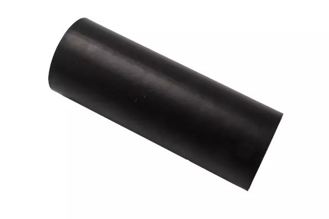 Genuine GM Dampener 12719603