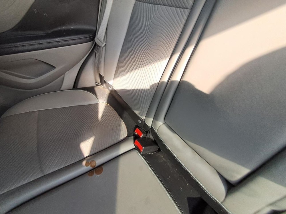 ENCORE 2013 Seat Rear 2652527