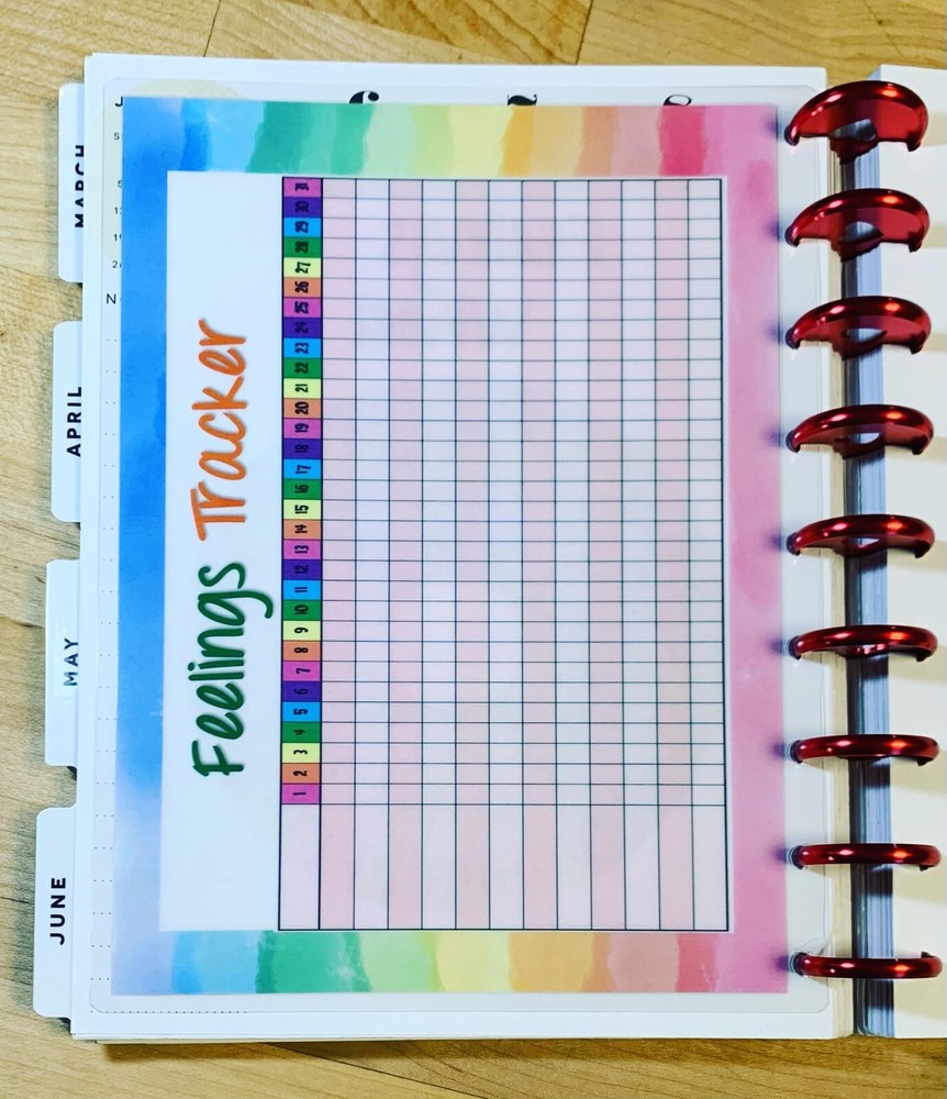 Feelings Emotions Wheel Tracker 2 Sided Dashboard Insert 4 use w/ HAPPY Planner-