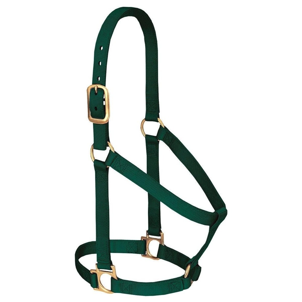 Weaver Leather Basic Non-Adjustable Nylon Horse Halter