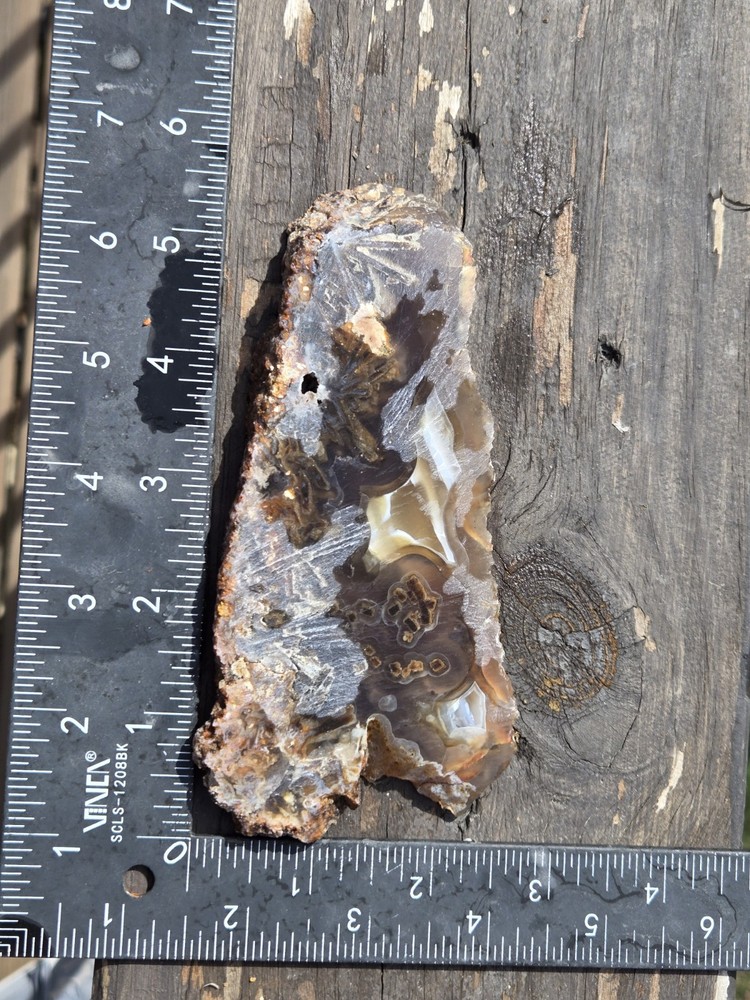 Turkish Agate Slab Slice Lapidary Unique