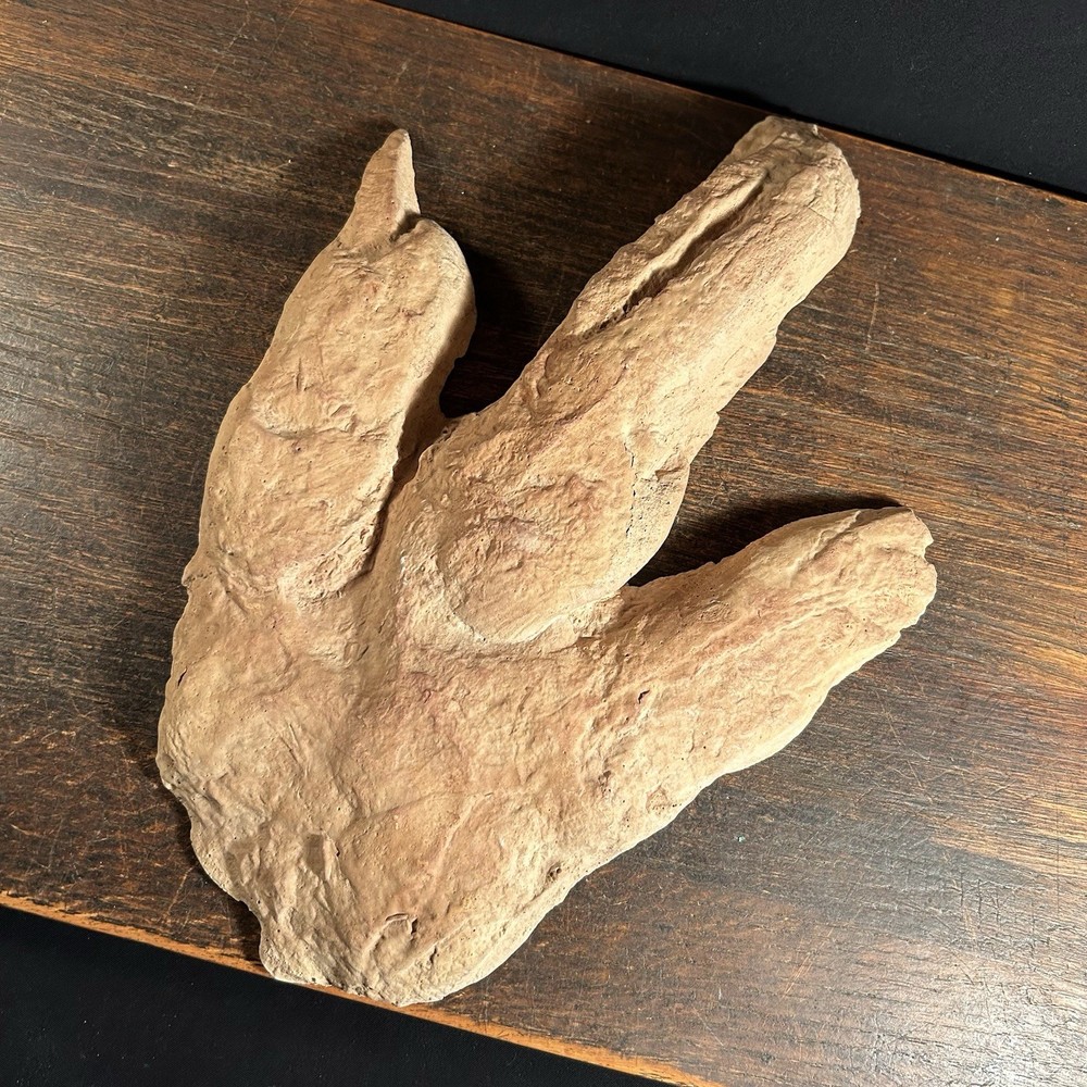 Vintage Dinosaur Footprint Plaster Cast Mold PRIORITY MAIL