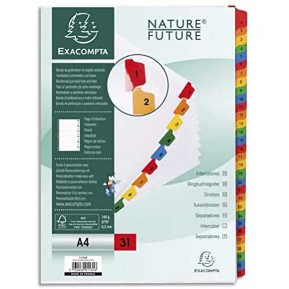 Exacompta - Ref 1131E - Printed Indices - Suitable for A4 Documents, Pre-Punched