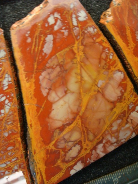 noreena jasper 4 slabs