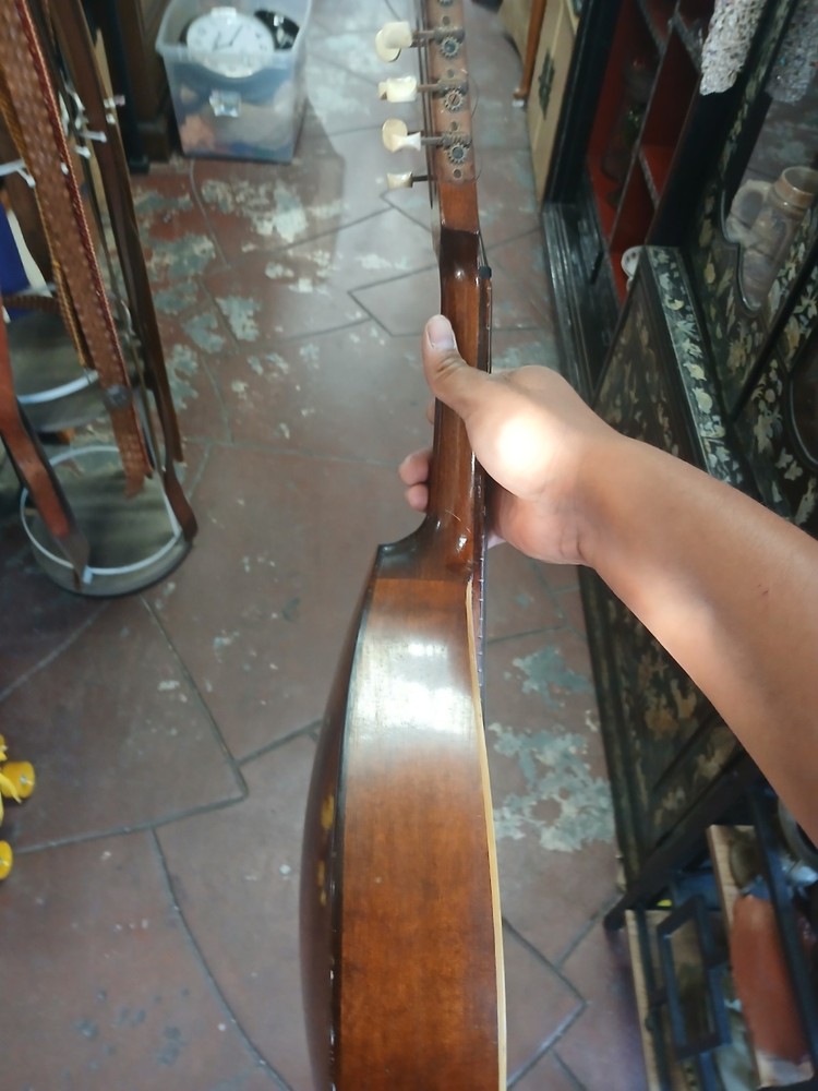 egmond mandolin made in holland