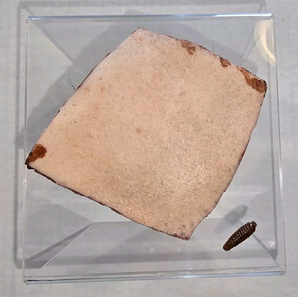 Orphan Black Screen Used Cheek Piece And Neolution Bot Season 4