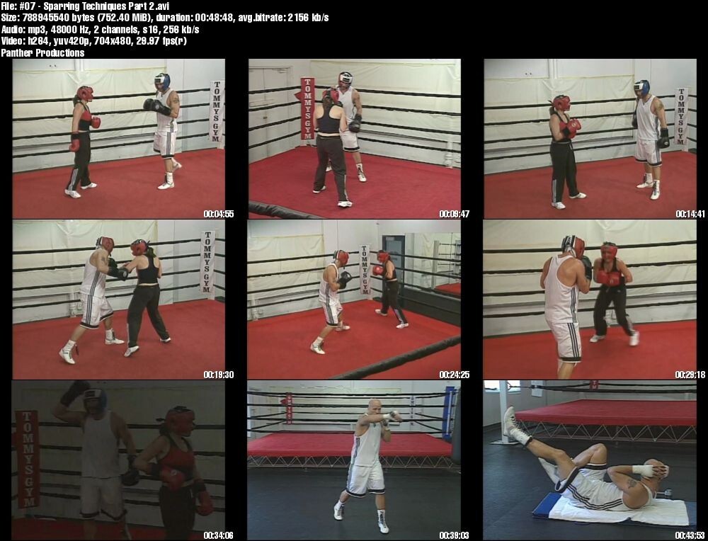 Modern Boxing starring Steve Hurley (7 DVD Set)