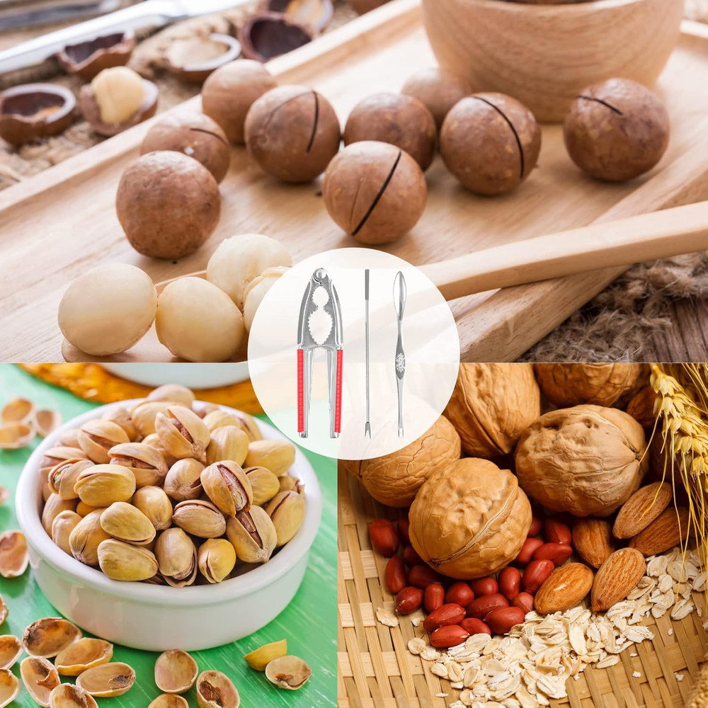 Nut Crackers Walnut Cracker Heavy Duty Shell Cracker Seafood Cracker Walnut Open
