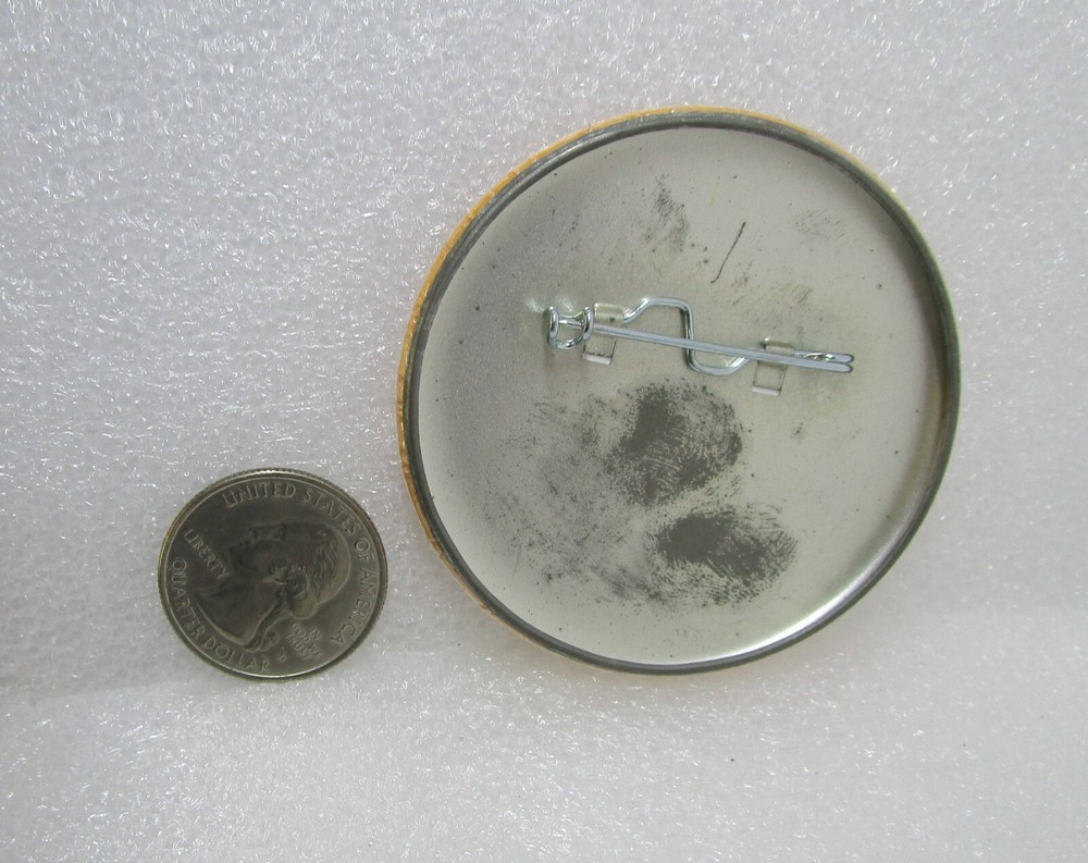Energizer Bunny Arrested Charged With Battery Button Pin