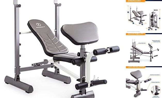 Folding Standard Weight Bench – Easy Storage MWB-20100