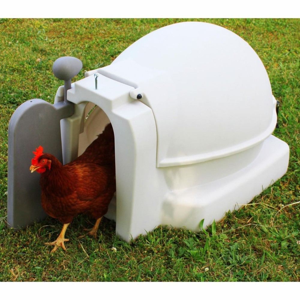 Good Ideas Mini Chicken Coop