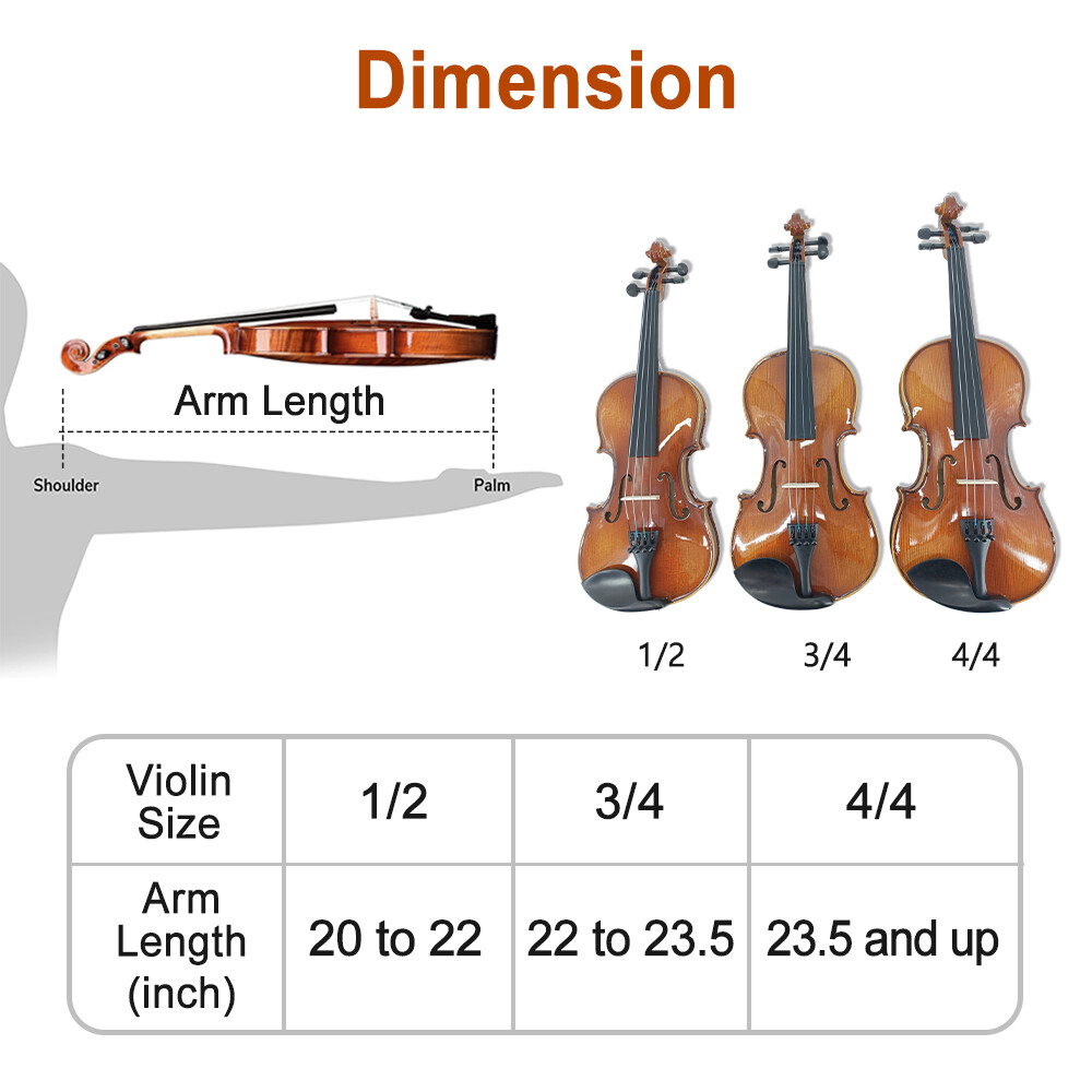 4 String 4/4 Violin Solid Wood Ebony Fittings Accessory Professional Lerners