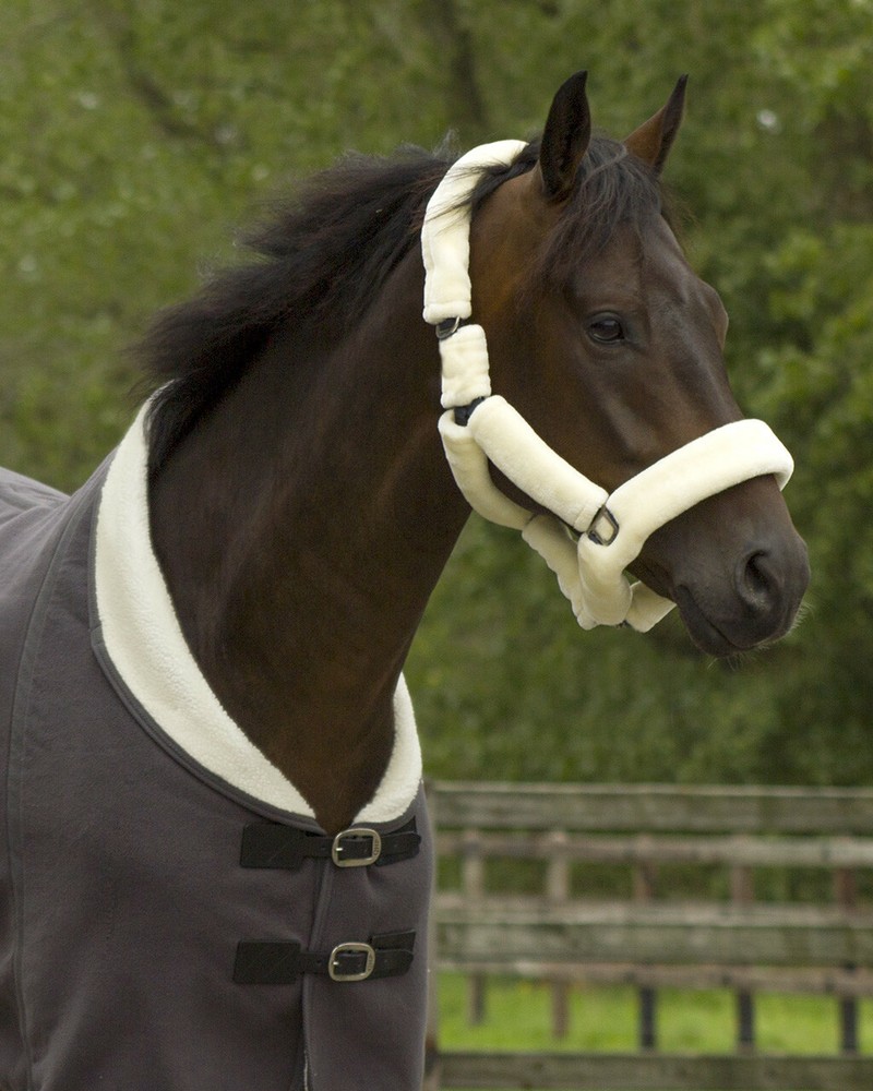 QHP Alaska Fleece Covered Halter