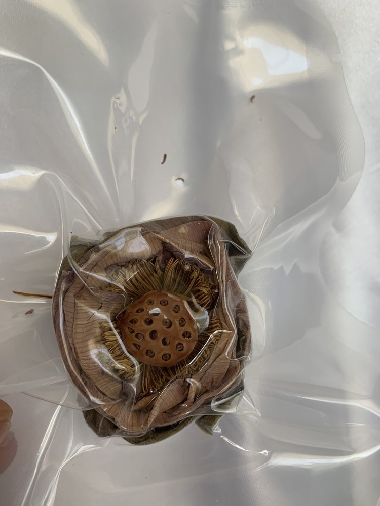 Lotus Love Mastery kit