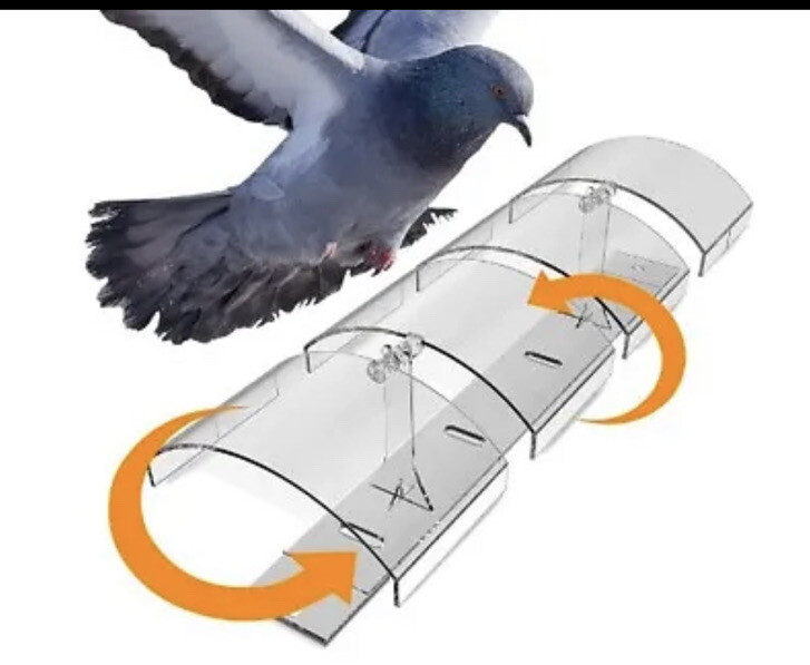 Bird Deterrent System  Polycarbonate UV Resistant Pigeon Balconies Patios 
