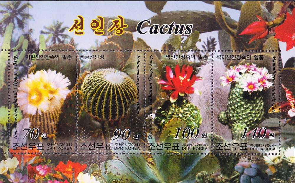 W KOREA 4372 CACTUS