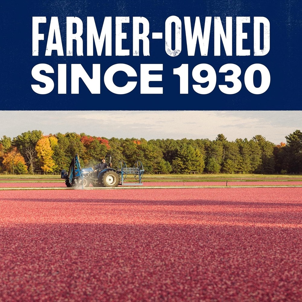 6 Oz Dried Cranberries - 25% Daily Fruit Needs, No Artificial Additives