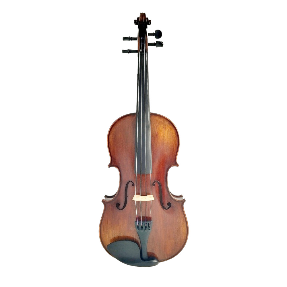 Enraptured Melodies: The AA80 Symphony Viola
