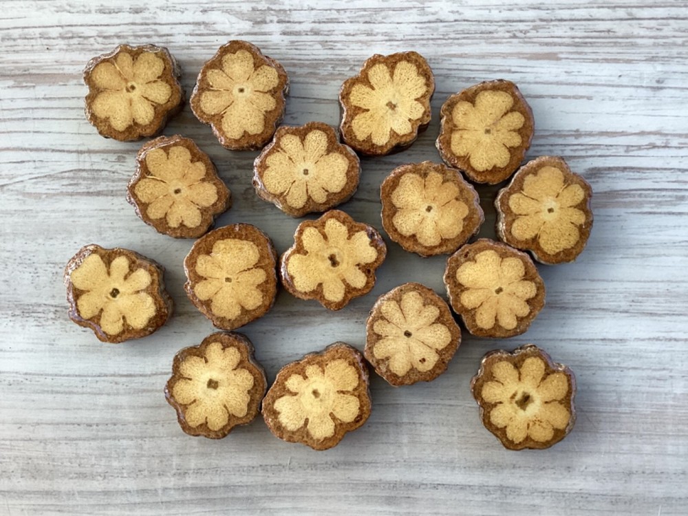 10 Pcs Ayahuasca Vine Slice 2.7cm