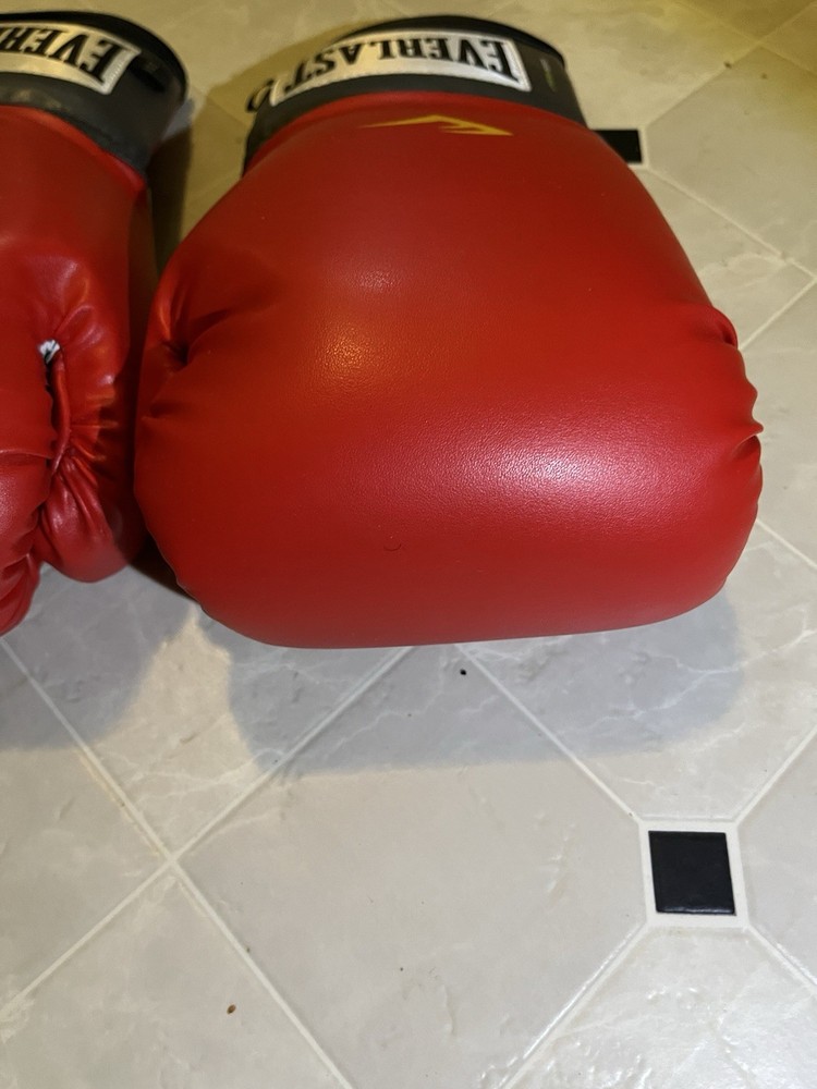 Pro Style Red Boxing Training Gloves Everlast 16oz