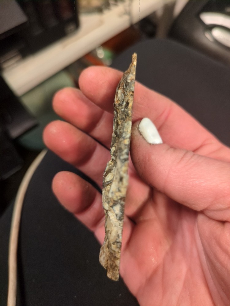 Turritella Crystalized Slab Specimen (41 grams)