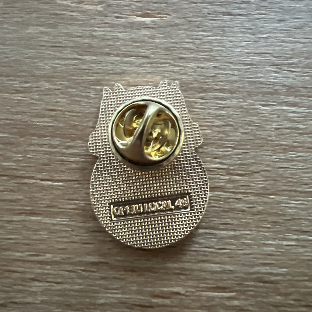 Teamsters local 853 Pride Strength Lapel Pin