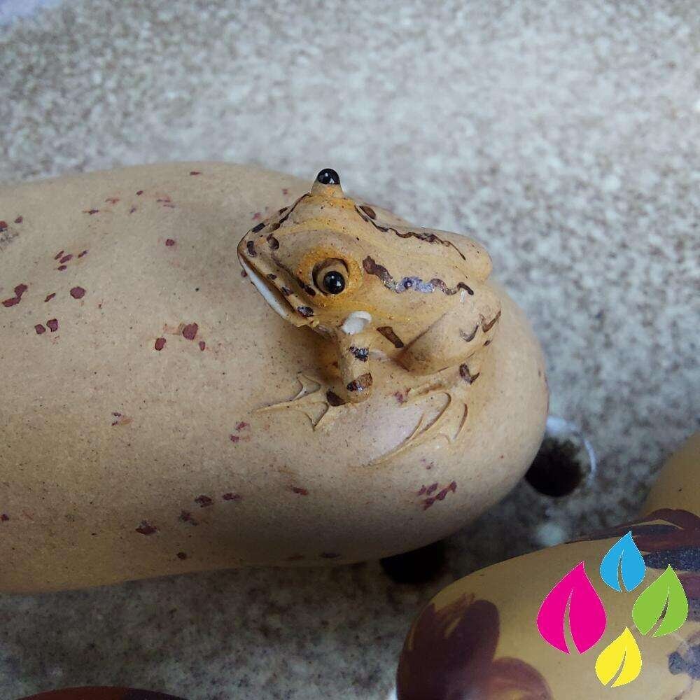 Ceramic Tea Pet Collection