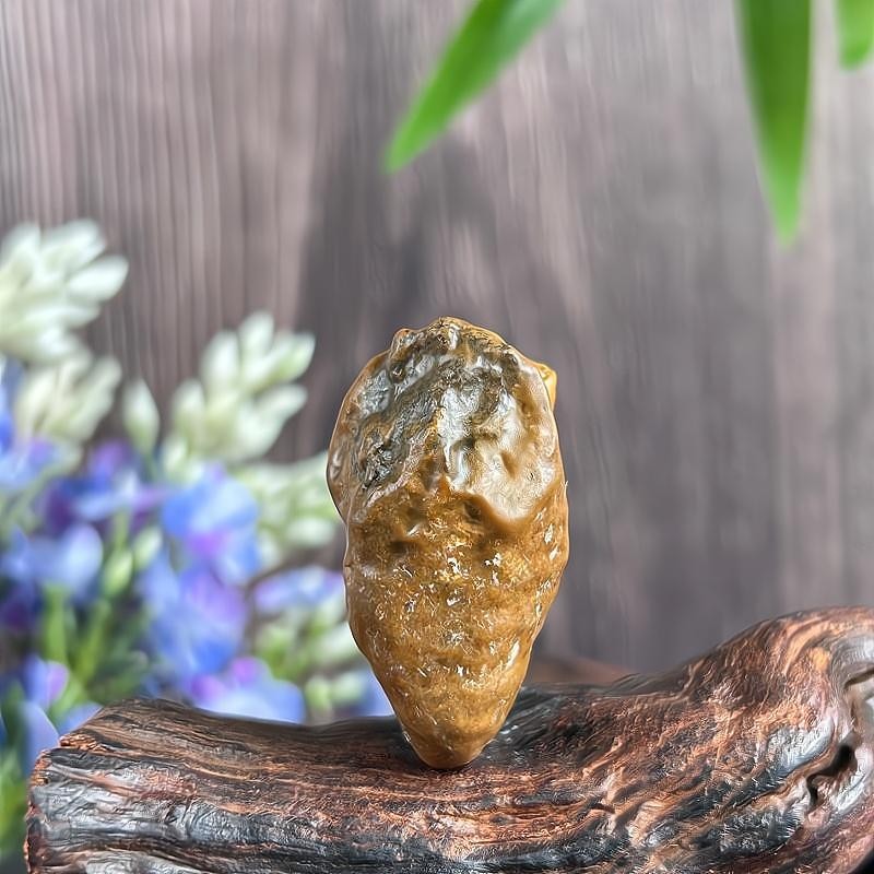 China Inner Mongolia Gobi Rough Agate Specimen