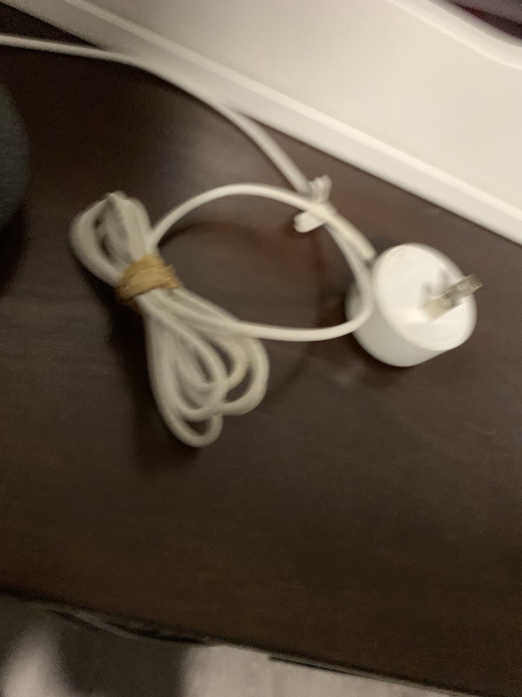 Google Home Speaker Nest