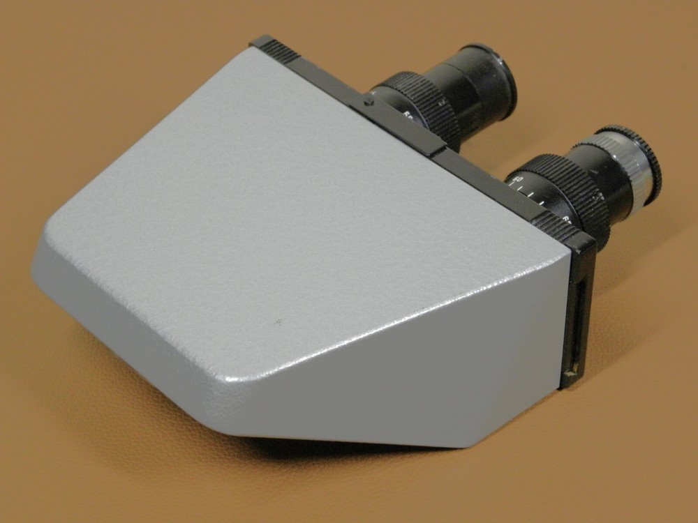 Leitz Wetzlar Microscope Binocular Head with Periplan FG 10x Eyepieces