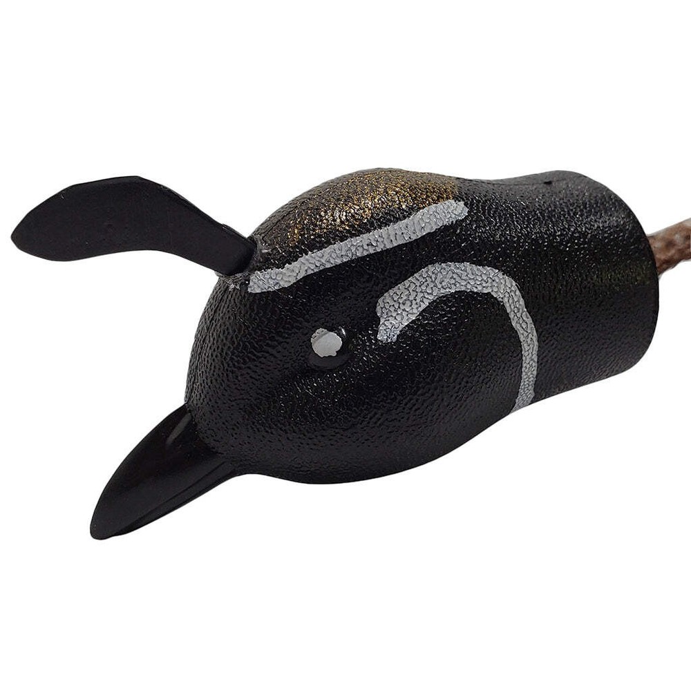 Dead Fowl Gambel Quail