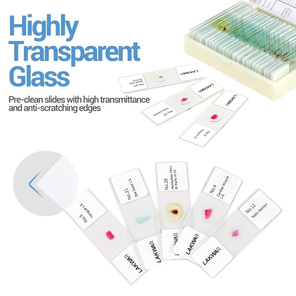 30 Microscope Slides with Specimens for Kids, Prepared Microscope Slides for ...