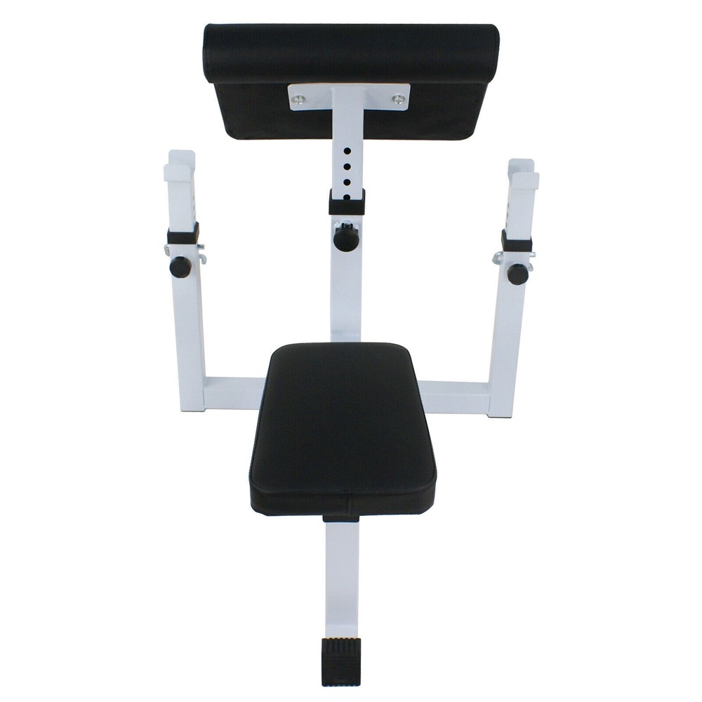 Adjustable Preacher Curl Bench Seated Arm Isolated Dumbbell Biceps Training