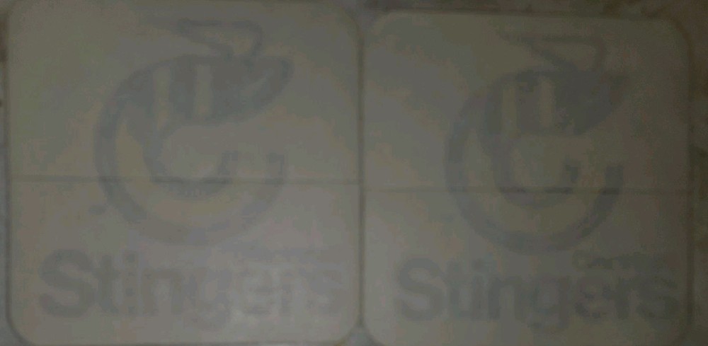 PAIR NOS CINCINNATI STINGERS WINDOW DECALS