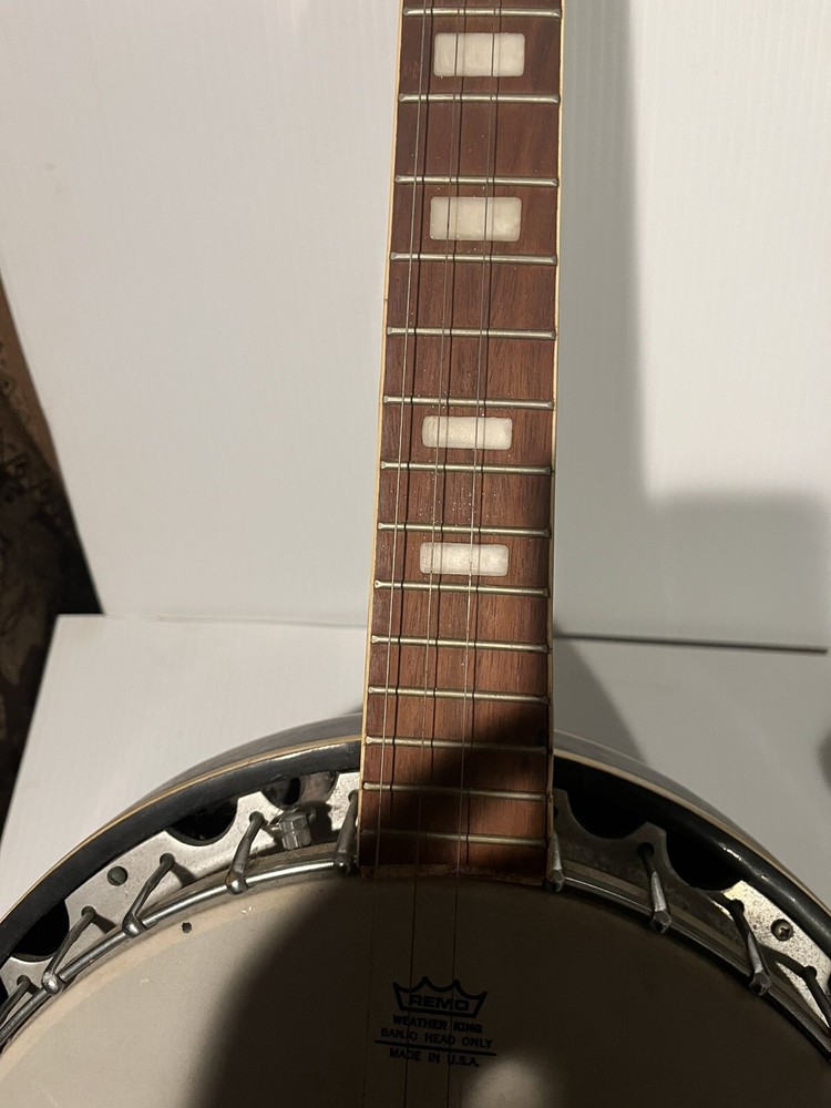 Remo Weather King Banjo Head Only