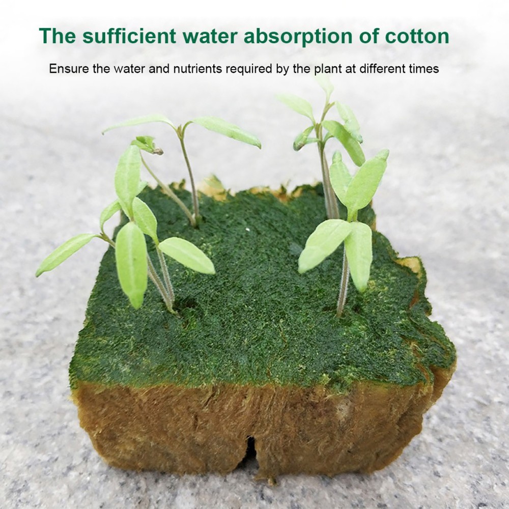 8 Pcs Planting Sponge Hydroponic Starter Plug Gardening Tools