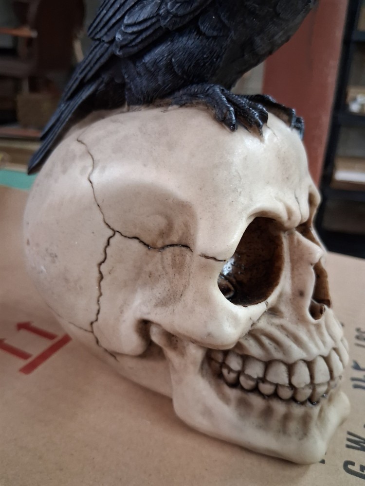 Raven Perched on Skull Gothic Figurine
