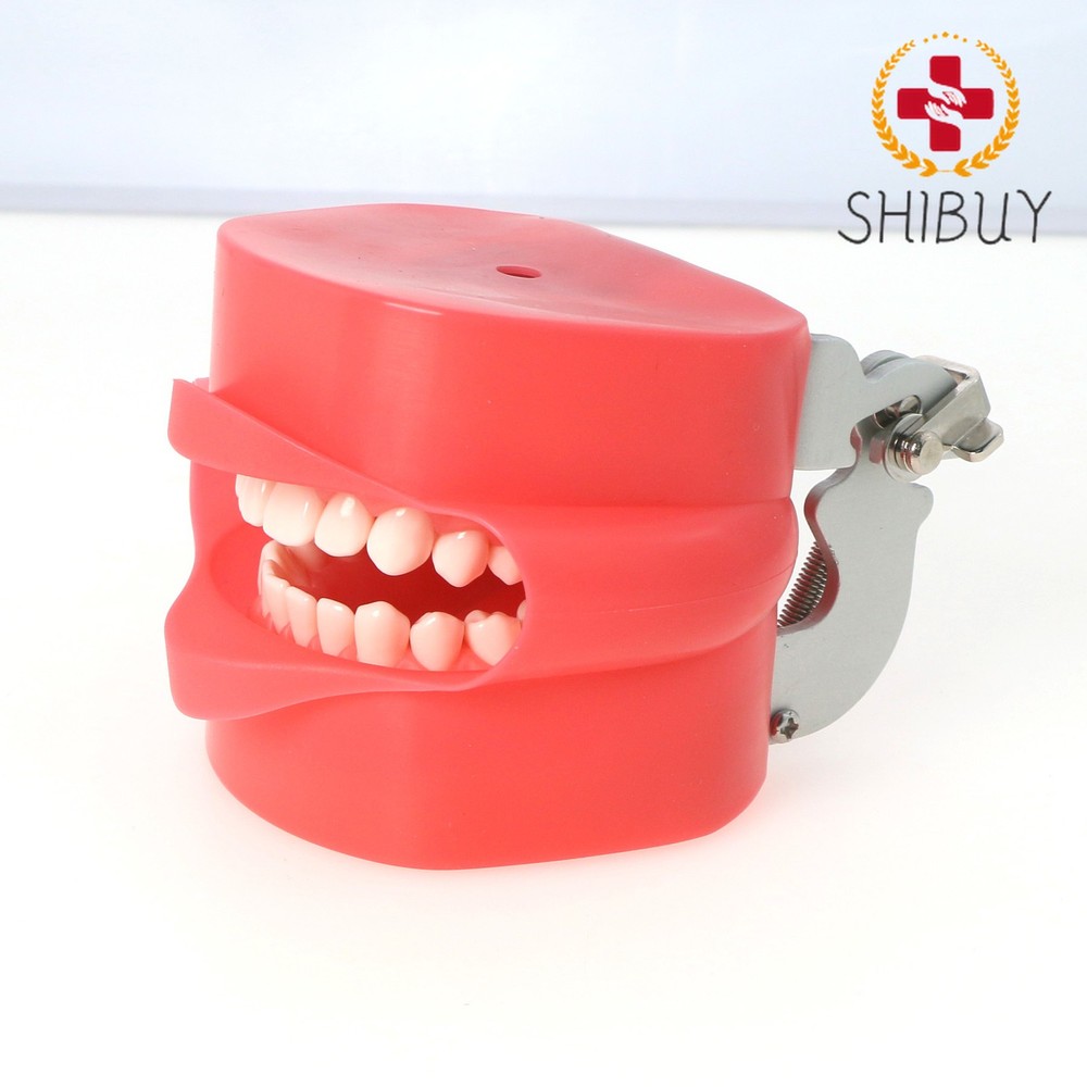1pc Dental Rubber Simulation Cheek Soft Dental Model
