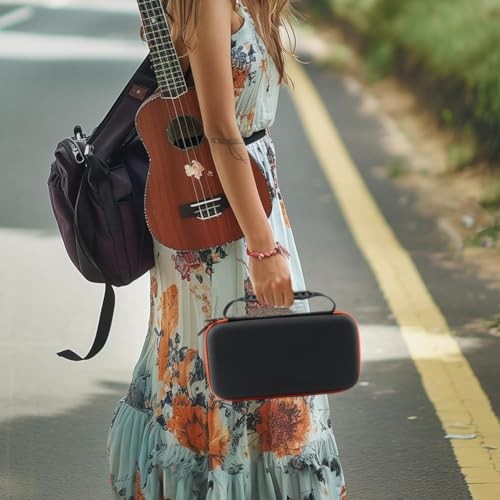 Wireless Microphone Case, Portable Handheld Dual Mic Hook and Loop Fastener